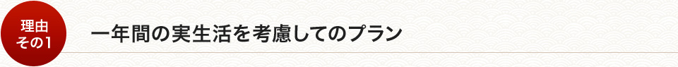 一年間の実生活を考慮してのプラン