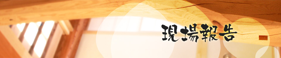 現場報告